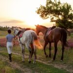 Czym są czapraki dla koni i jakie mają zastosowanie?